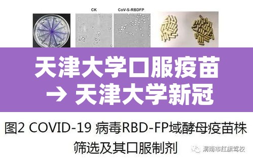 天津大学口服疫苗 → 天津大学新冠病毒疫苗