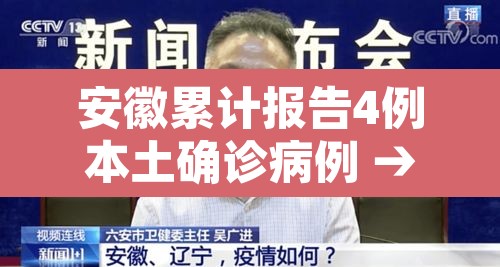 安徽累计报告4例本土确诊病例 → 安徽共报告4例本土确诊