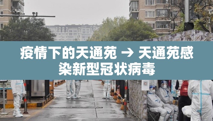 疫情下的天通苑 → 天通苑感染新型冠状病毒