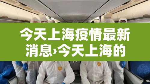 今天上海疫情最新消息›今天上海的疫情现在是什么情况