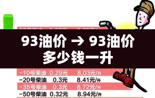 93油价 → 93油价多少钱一升