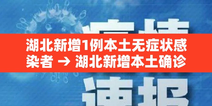 湖北新增1例本土无症状感染者 → 湖北新增本土确诊病例5例,新增无症状感染者11例 湖北新增1例本土无症状感染者 → 湖北新增本土确诊病例5例,新增无症状感染者11例