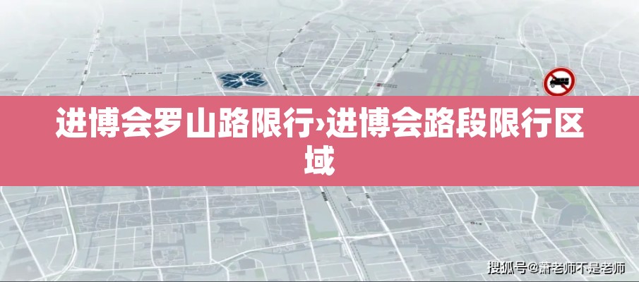 进博会罗山路限行›进博会路段限行区域