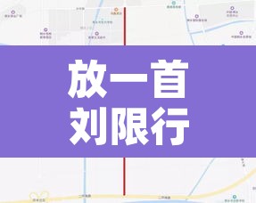 放一首刘限行：播放一首任限行
