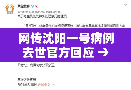 网传沈阳一号病例去世官方回应 → 沈阳一号病例事件