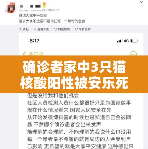确诊者家中3只猫核酸阳性被安乐死：宠物猫核酸阳性