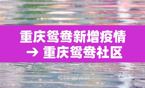 重庆鸳鸯新增疫情 → 重庆鸳鸯社区医院地址