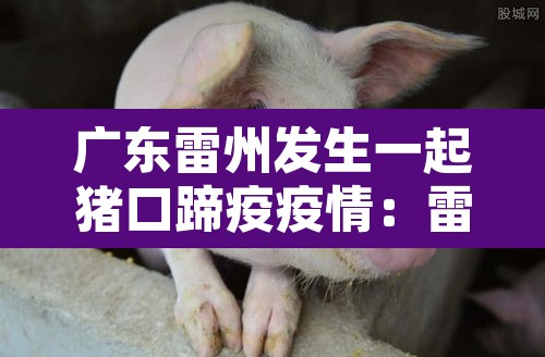 广东雷州发生一起猪口蹄疫疫情：雷州市今天猪价