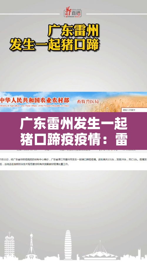 广东雷州发生一起猪口蹄疫疫情：雷州市今天猪价