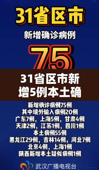 31省区市新增5例本土确诊—（31省区市新增5例本土确诊病例）