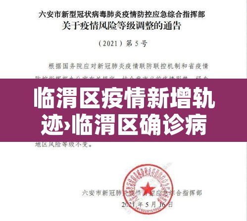 临渭区疫情新增轨迹›临渭区确诊病例