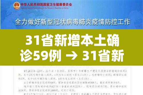 31省新增本土确诊59例 → 31省新增本土确诊病例55例