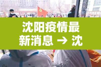 沈阳疫情最新消息 → 沈阳疫情最新消息今日头条