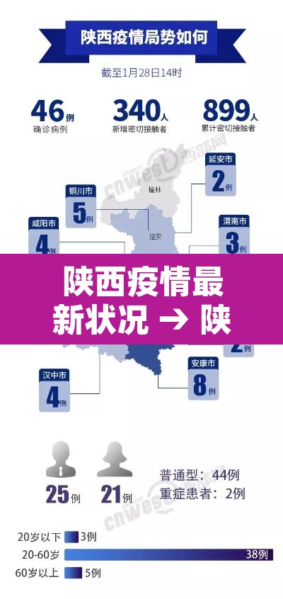 陕西疫情最新状况 → 陕西疫情最新情况发布