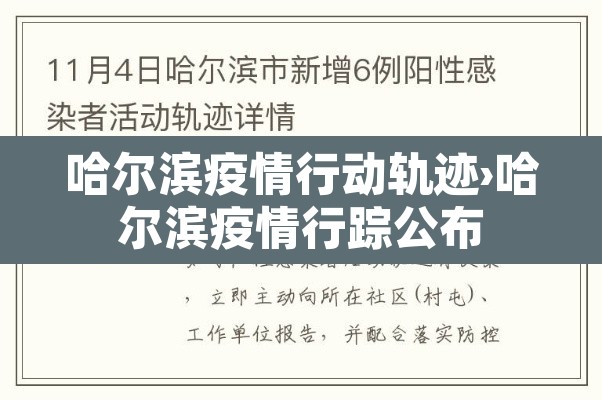 哈尔滨疫情行动轨迹›哈尔滨疫情行踪公布