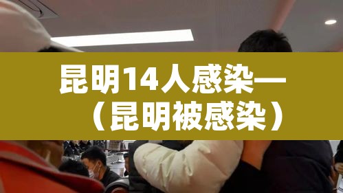 昆明14人感染—（昆明被感染）