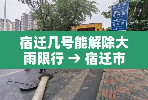 宿迁几号能解除大雨限行 → 宿迁市明天尾号为六限不限行