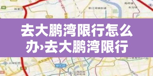 去大鹏湾限行怎么办›去大鹏湾限行怎么办通行证