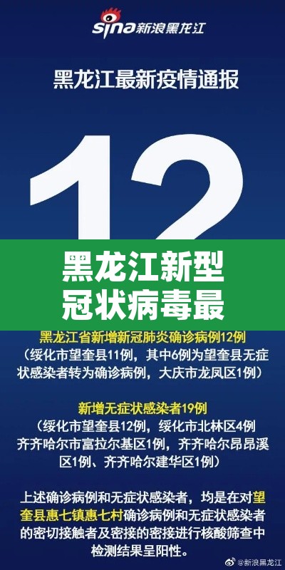 黑龙江新型冠状病毒最新消息：黑龙江新冠病毒最新情况 最新消息