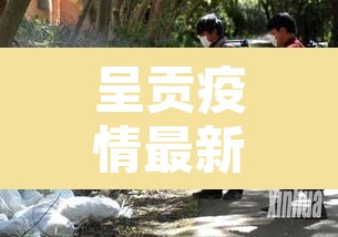 呈贡疫情最新消息—（呈贡最新动态）