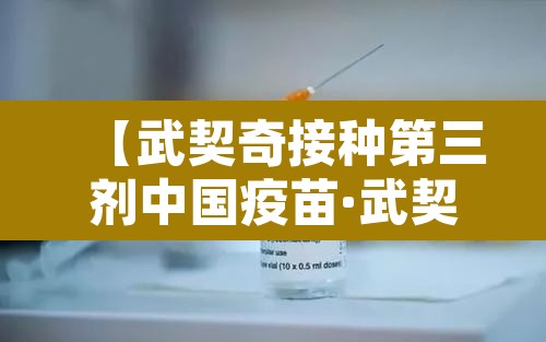 【武契奇接种第三剂中国疫苗·武契奇接种第三剂中国疫苗了吗】