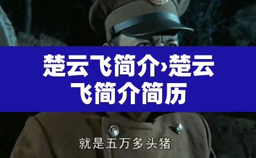 楚云飞简介›楚云飞简介简历