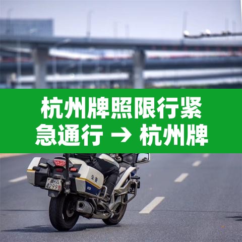 杭州牌照限行紧急通行 → 杭州牌照限行紧急通行规定