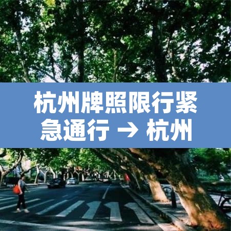 杭州牌照限行紧急通行 → 杭州牌照限行紧急通行规定