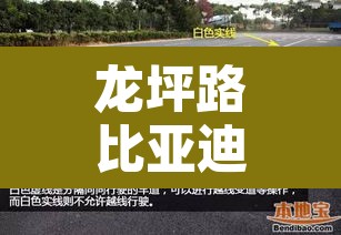 龙坪路比亚迪限行抓拍 → 坪山比亚迪路有限行拍照吗