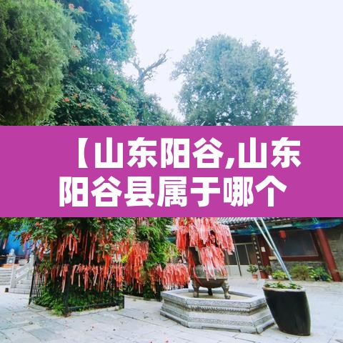 【山东阳谷,山东阳谷县属于哪个市】