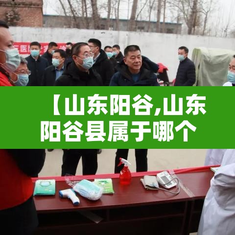 【山东阳谷,山东阳谷县属于哪个市】