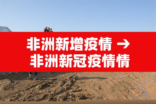 非洲新增疫情 → 非洲新冠疫情情况