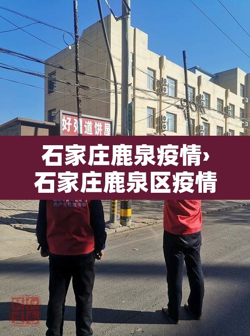 石家庄鹿泉疫情›石家庄鹿泉区疫情确诊