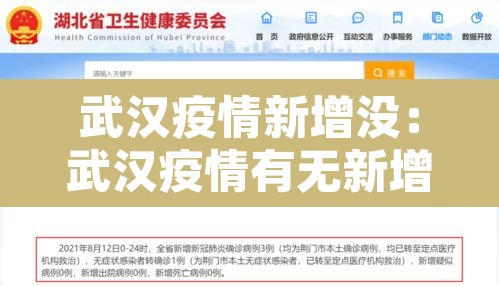 武汉疫情新增没：武汉疫情有无新增