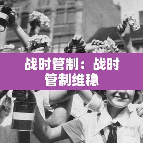 战时管制：战时管制维稳