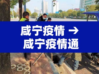 咸宁疫情 → 咸宁疫情通报 咸宁疫情 → 咸宁疫情通报