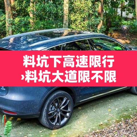 料坑下高速限行›料坑大道限不限行