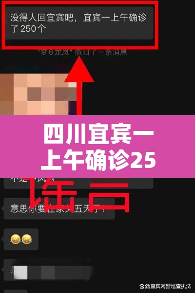 四川宜宾一上午确诊250个?官方辟谣 → 宜宾确诊轨迹 四川宜宾一上午确诊250个?官方辟谣 → 宜宾确诊轨迹