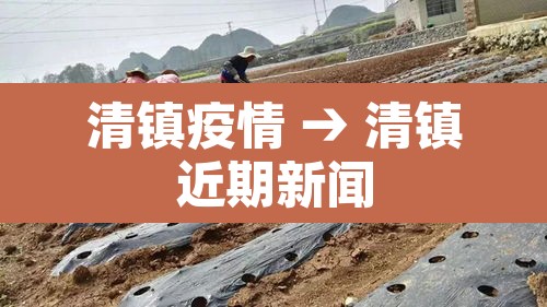 清镇疫情 → 清镇近期新闻