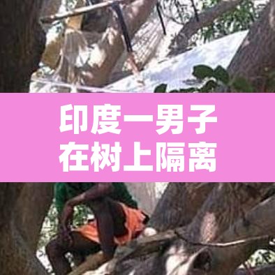 印度一男子在树上隔离11天 → 印度一男子在树上隔离11天图片 印度一男子在树上隔离11天 → 印度一男子在树上隔离11天图片