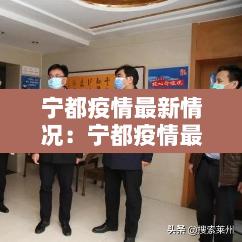 宁都疫情最新情况:宁都疫情最新情况通报