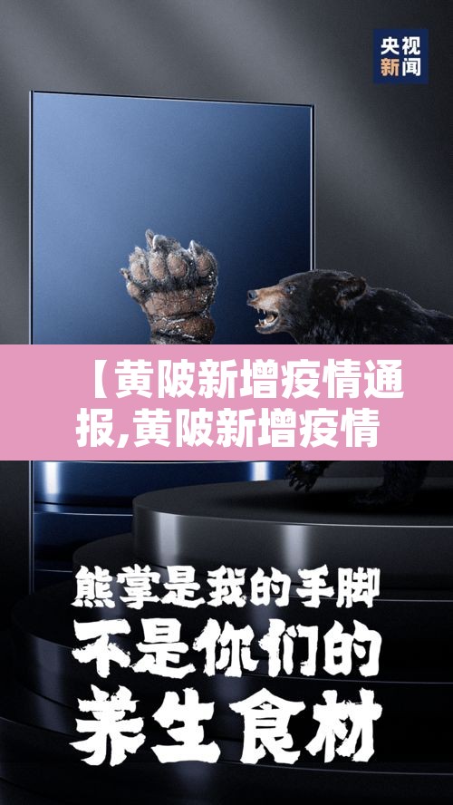 【黄陂新增疫情通报,黄陂新增疫情通报最新】 【黄陂新增疫情通报,黄陂新增疫情通报最新】