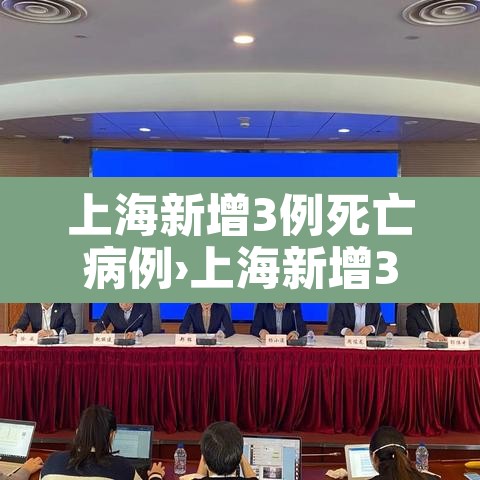 上海新增3例死亡病例›上海新增3例死亡病例 上海新增3例死亡病例›上海新增3例死亡病例