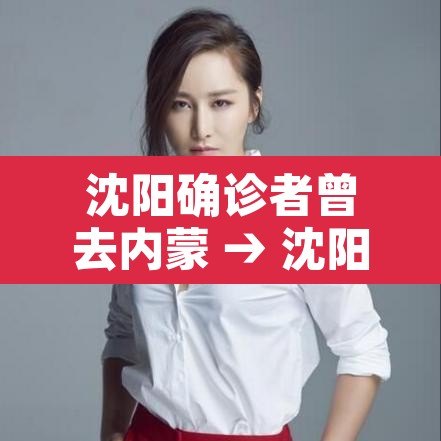 沈阳确诊者曾去内蒙 → 沈阳确诊者曾去内蒙隔离 沈阳确诊者曾去内蒙 → 沈阳确诊者曾去内蒙隔离