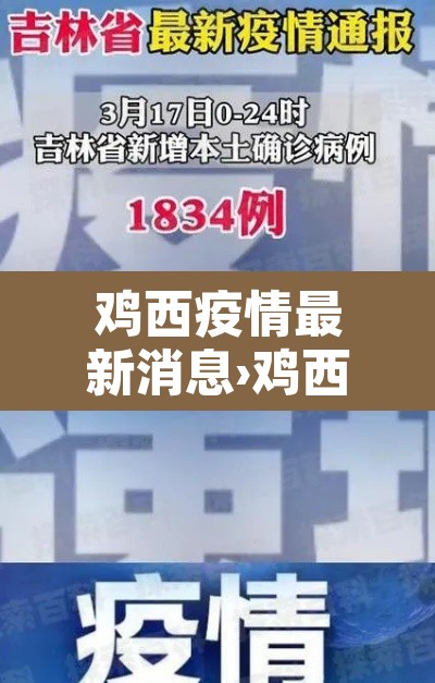 鸡西疫情最新消息›鸡西疫情通报最新