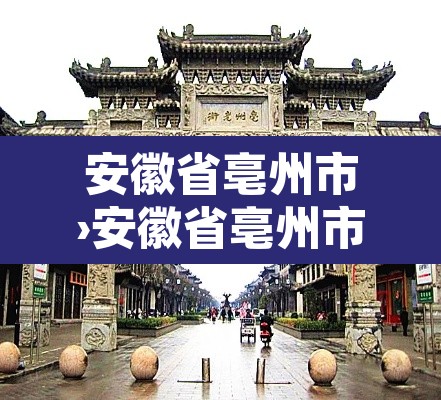 安徽省亳州市›安徽省亳州市蒙城县