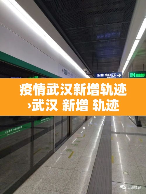 疫情武汉新增轨迹›武汉 新增 轨迹