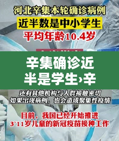 辛集确诊近半是学生›辛集感染者 辛集确诊近半是学生›辛集感染者