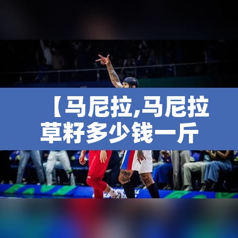 【马尼拉,马尼拉草籽多少钱一斤】 【马尼拉,马尼拉草籽多少钱一斤】
