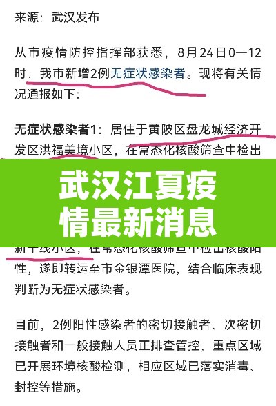 武汉江夏疫情最新消息:武汉江夏 疫情 武汉江夏疫情最新消息:武汉江夏 疫情